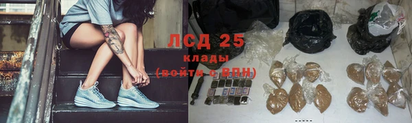 ГАЛЛЮЦИНОГЕННЫЕ ГРИБЫ Алзамай