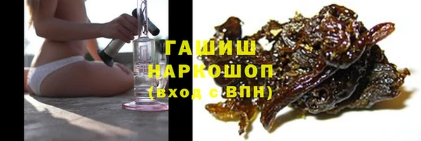 индика Заводоуковск