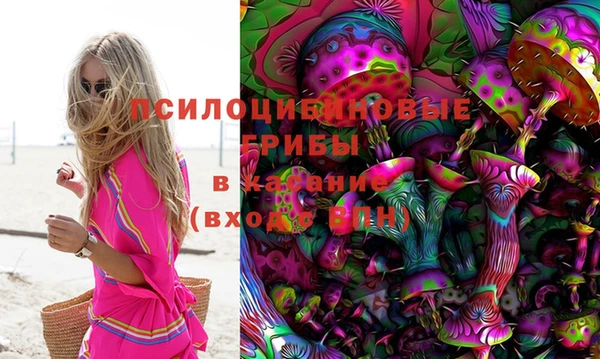 ГАЛЛЮЦИНОГЕННЫЕ ГРИБЫ Алзамай