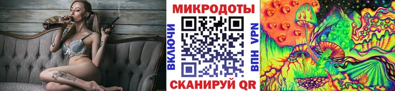 Псилоцибиновые грибы Psilocybe  blacksprut сайт  Коркино 